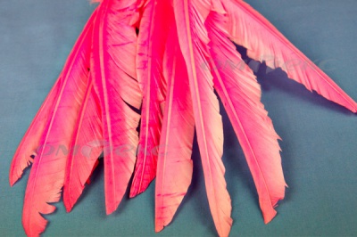 Декоративный Пучок из перьев, перо 25см/розовый - купить в Твери. Цена: 14.40 руб.