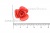 Украшение "Розы малые №1" 20мм - купить в Твери. Цена: 32.49 руб.