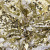 Трикотажное полотно, Сетка с пайетками, шир.130 см, #315, цв.-белый/золото - купить в Твери. Цена 693.39 руб.