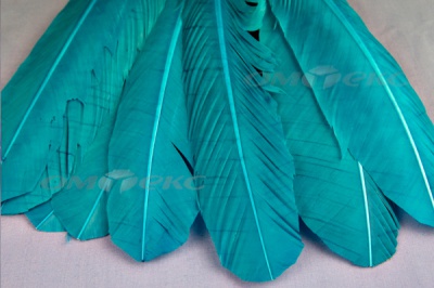 Декоративный Пучок из перьев, перо 24см/голубой - купить в Твери. Цена: 12.19 руб.