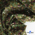 Ткань костюмная «Микровельвет велюровый принт», 220 г/м2, 97% полиэстр, 3% спандекс, ш. 150См Цв  #9 - купить в Твери. Цена 439.76 руб.