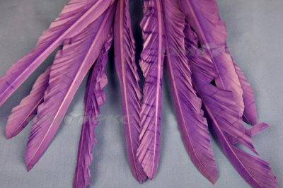 Декоративный Пучок из перьев, перо 25см/фиолетовый - купить в Твери. Цена: 12.19 руб.