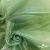 Ткань органза, 100% полиэстр, 28г/м2, шир. 150 см, цв. #27 зеленый - купить в Твери. Цена 86.24 руб.