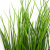 Трава искусственная -4, шт  (осока 50 см/8 см  7 листов)				 - купить в Твери. Цена: 130.73 руб.