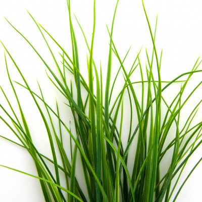 Трава искусственная -3, шт (осока 50 см/8 см  5 листов)				 - купить в Твери. Цена: 124.17 руб.